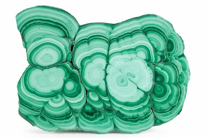 Flowery Polished Malachite Slab - DR Congo #360774